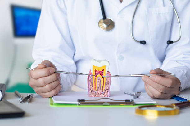 Best Emergency Dentist for Knocked-Out Tooth in Unicoi, TN